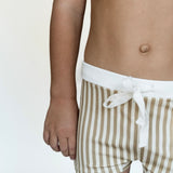 Euro Style Vintage Stripe Swim Trunks