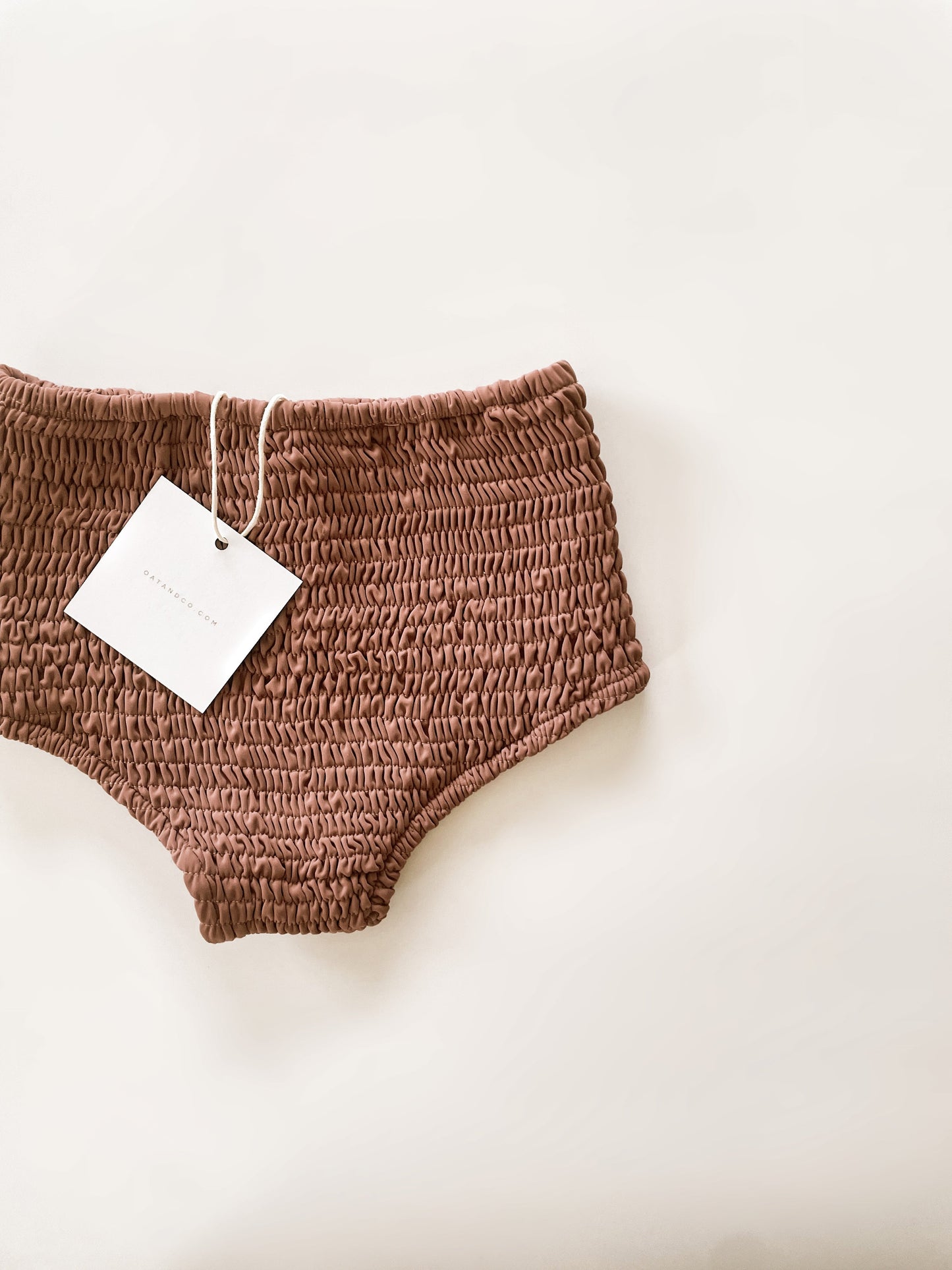 High Waisted Bikini Bottoms - Plum